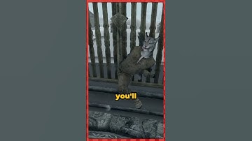 Break Skyrim with This Simple Wall Clip! #gaming #elderscrolls #skyrim