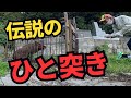 お寺を荒らす大猪が、ついに箱罠にかかったということで現場に急行!84才のベテラン猟師の伝説のひと突きでキメる有害鳥獣駆除!