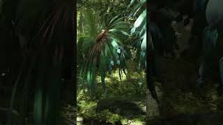 Welcome To The World Of Pandora | Avatar: Frontiers of Pandora | #Shorts