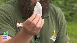 Poverty Point Anniversary Video