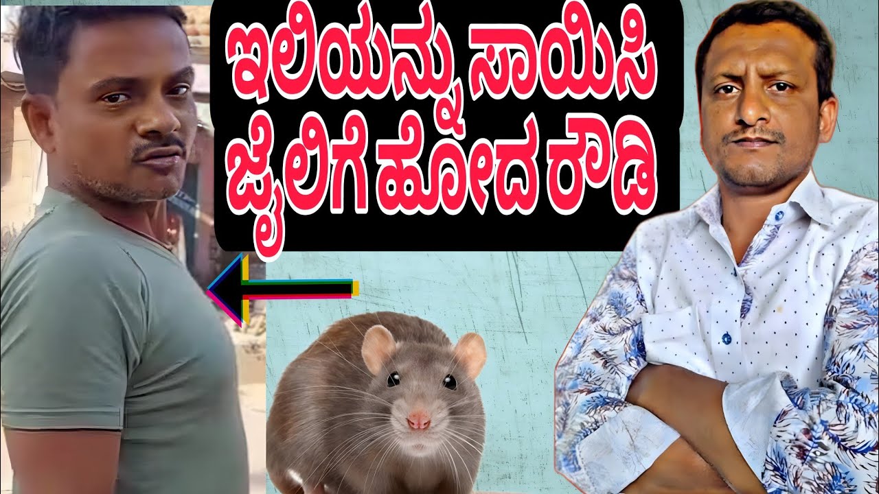 EP 46 || kannada crime story||kannada crime dairy||kannada horror story||kannada crime news