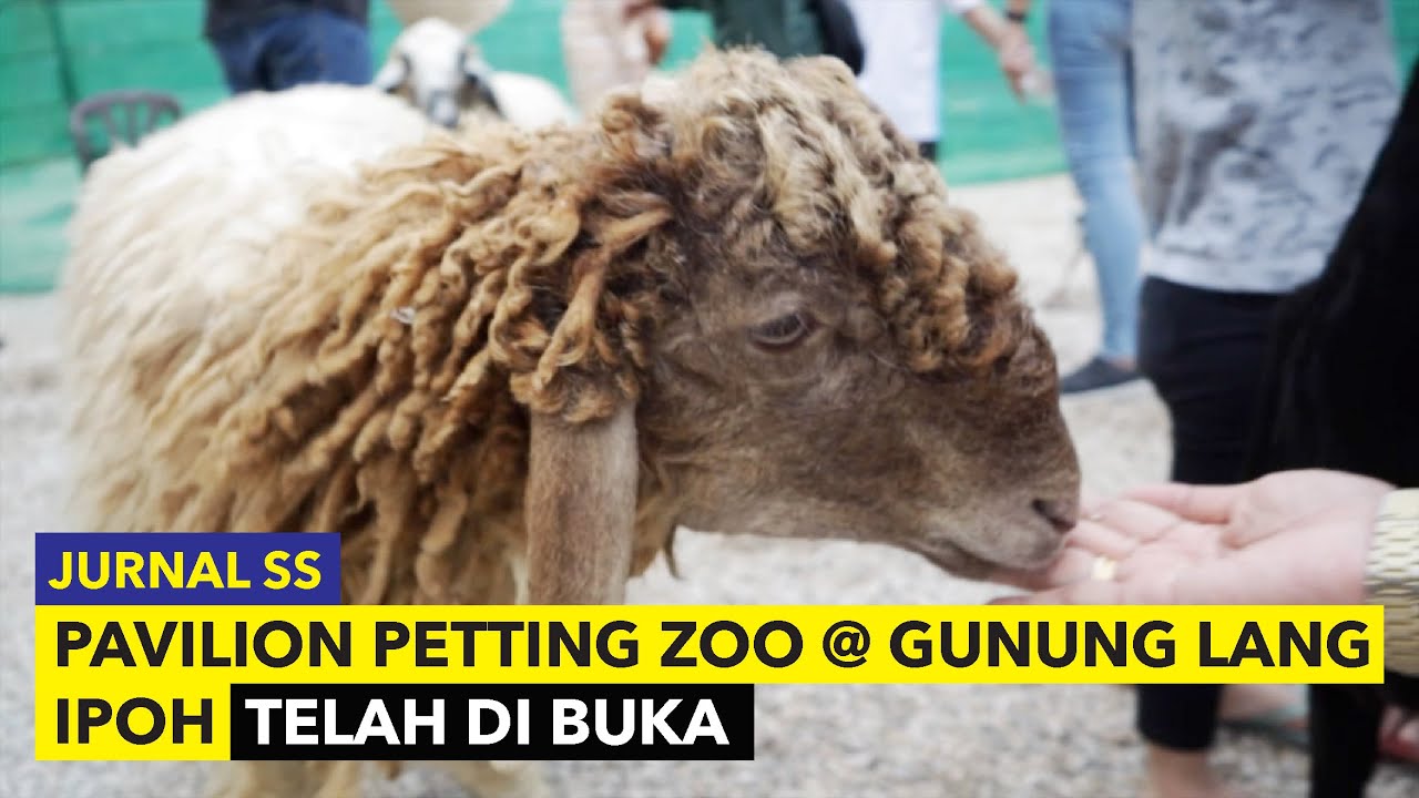 VLOG : Pavilion Petting Zoo @ Gunung Lang Ipoh Sudah Di Buka