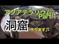 日本のアクアテラリウム水槽立上げ Part.1