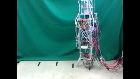 Path Following Control of a Unicycle Robot