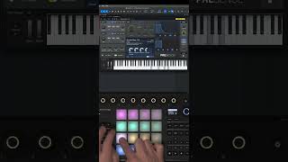 Fender Motion - Chord Mode Is Amazing