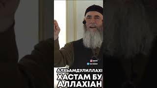 Ч1ОГ1 ХАЗ ХЬЕХАМ САЛАХЬ МЕЖИЕВ