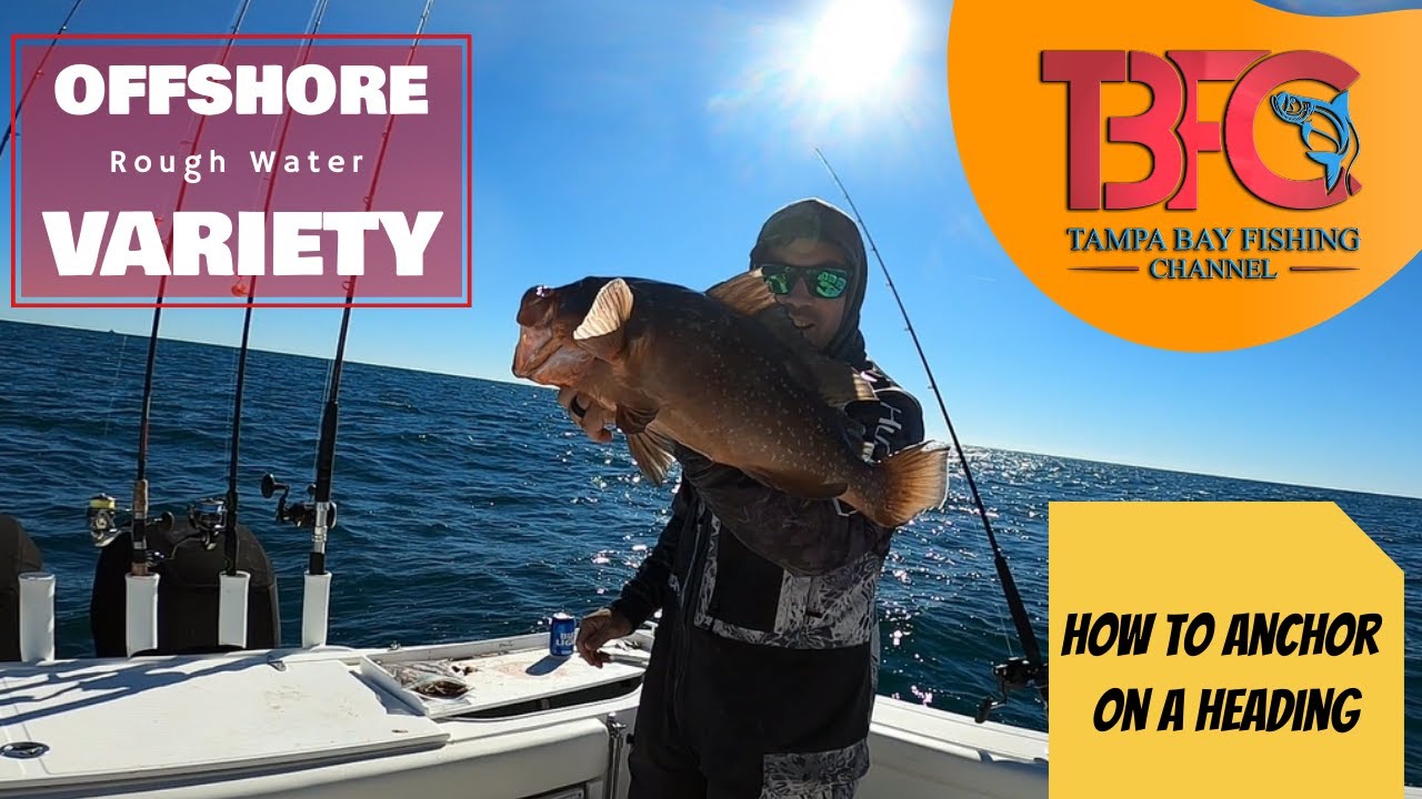 3-4' Waves and a huge variety of fish offshore!