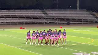 THDS Powerpuff Game Seniors Half time 2019