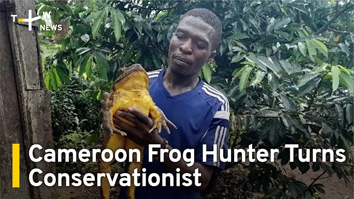 Cameroon Frog Hunter Turns Conservationist | TaiwanPlus - DayDayNews