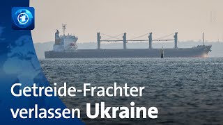 Wie viele Schiffe haben die Ukraine verlassen?