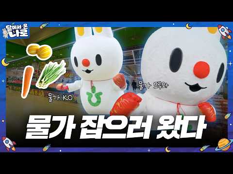🐰물가 때려잡으러 달에서 왔다?!｜나로의 물가 안정 농심효심동심 프로젝트🥊🌕