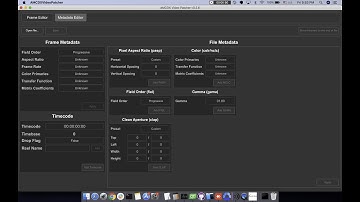 AMCDX Video Patcher/Metadata Editor version 0.2.6 demo