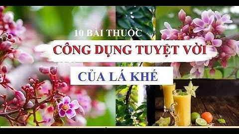10 bài thuốc hữu ích từ lá khế - Lá khế có tác dụng gì ?