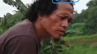 Makan Taik Kucing Ahhaah Lagu Gila