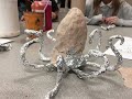 Creating the kraken