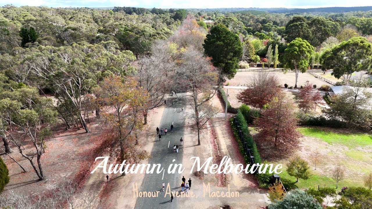 Autumn in Melbourne