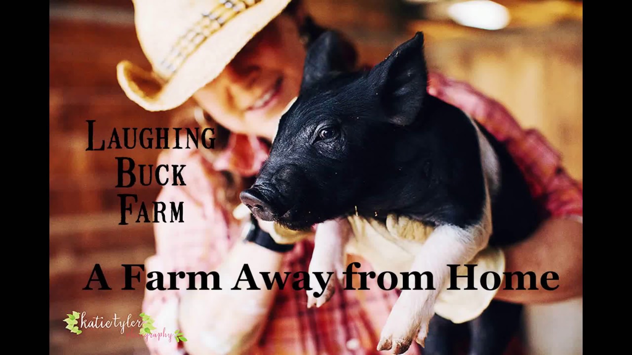 A Farm Away From Home