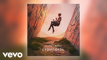 Vector, Mastaa - No Worries (Official Audio) ft. DJ Magnum