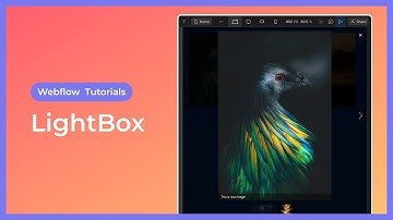 Lightbox in Webflow