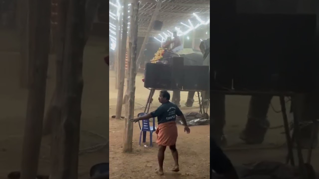 Live elephant attack in Kerala temple 