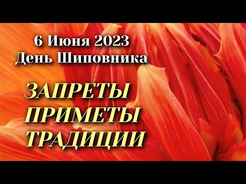 6 Июня 2023 года День Шиповника. Народные приметы, обычаи, запреты и суеверия.