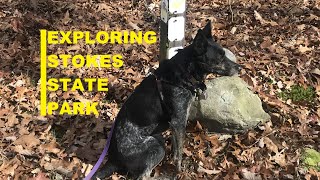 Exploring Stokes State Park, The Rock Oak Trail, Hiking with Dog by Jill Marie 25 views 4 months ago 13 minutes, 6 seconds