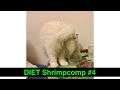 Thurston Waffles DIET Shrimpcomp #4 (Just Cat Clips, No Frills)