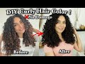 New Curly Hair Color &amp; Cut  No Damage !! DIY  3a 3b curls