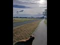 Golden Light, Happy Hound
