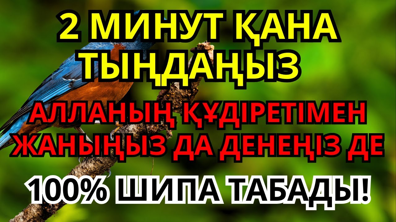 Металлический дом в Апшеронск бюджетно