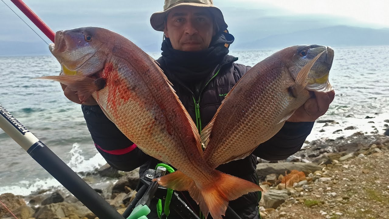 HEAVY CASTING ✔️ ΣΥΝΑΓΡΙΔΕΣ ΚΑΙ ΒΟΥΤΙΑ ΣΤΑ ΠΑΓΩΜΕΝΑ ΝΕΡΑ | ΨΑΡΕΜΑ ΑΠΟ ΤΗΝ ΑΚΤΗ - Η ΕΠΙΣΤΡΟΦΗ!!!