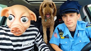 Police Surprises Pig & Puppy With Car Ride Chase!