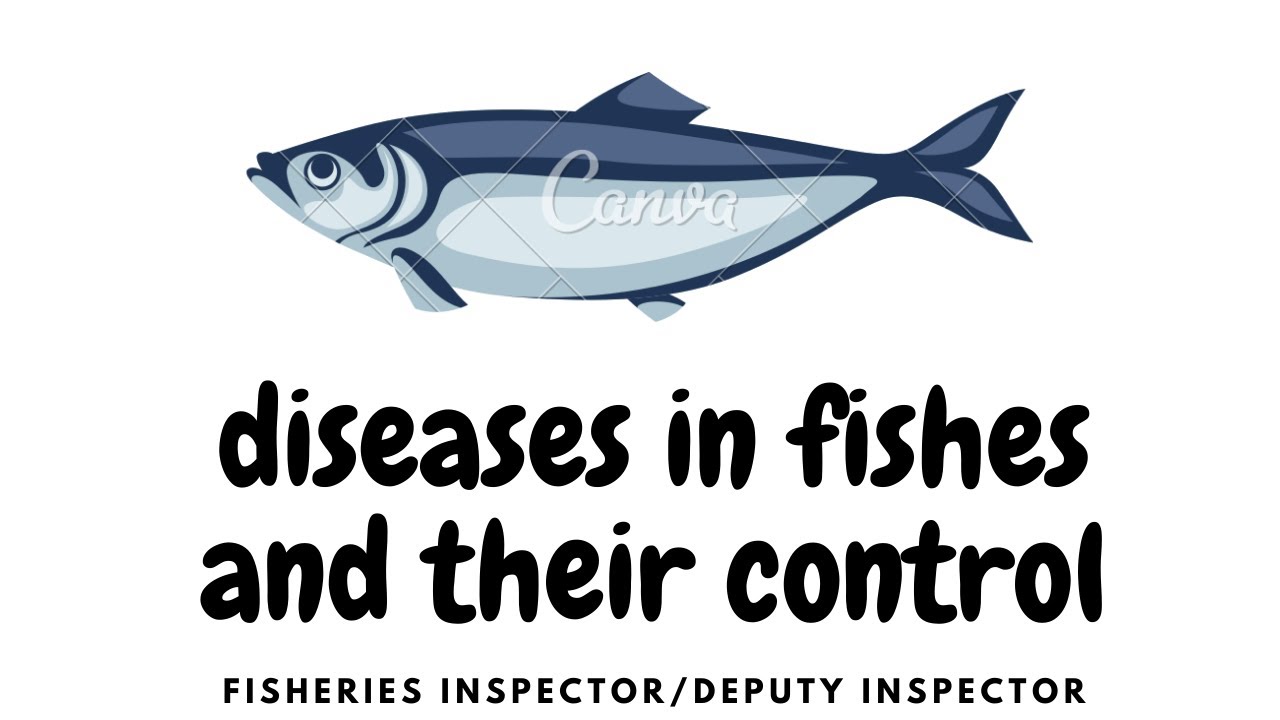 DISEASES IN FISHES. content.pdf | For JKSSB deputy inspector | fisheries inspector 2023