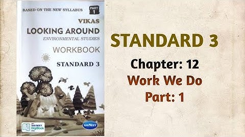 Std-3 EVS | Ch:12 Work We Do | Part 1 | Vikas Workbook Solution | Looking Around | Ncert