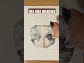 Realistic Dog Nose Art Timelapse 🐶
