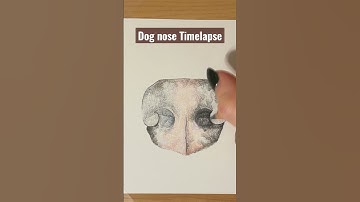 Art Timelapse- draw a realistic dog nose
