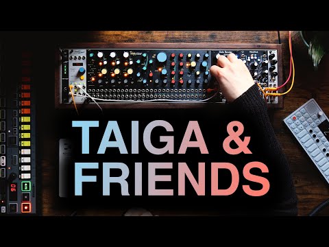 TAIGA - IN