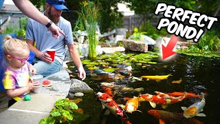 This is What a PROPER POND  GARDEN should look like.