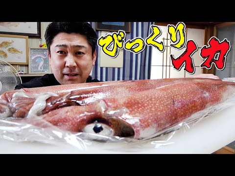 歴代一位！？特大の剣先イカを一番うまい食べ方でいただきました！