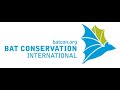 Bat Conservation International | Wikipedia audio article Bat Conservation International | Wikipedia audio article