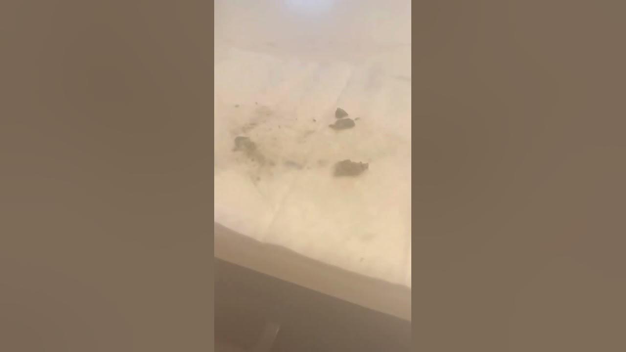 Bosch Dishwasher stops repeatedly with blinking red light (not hinge or