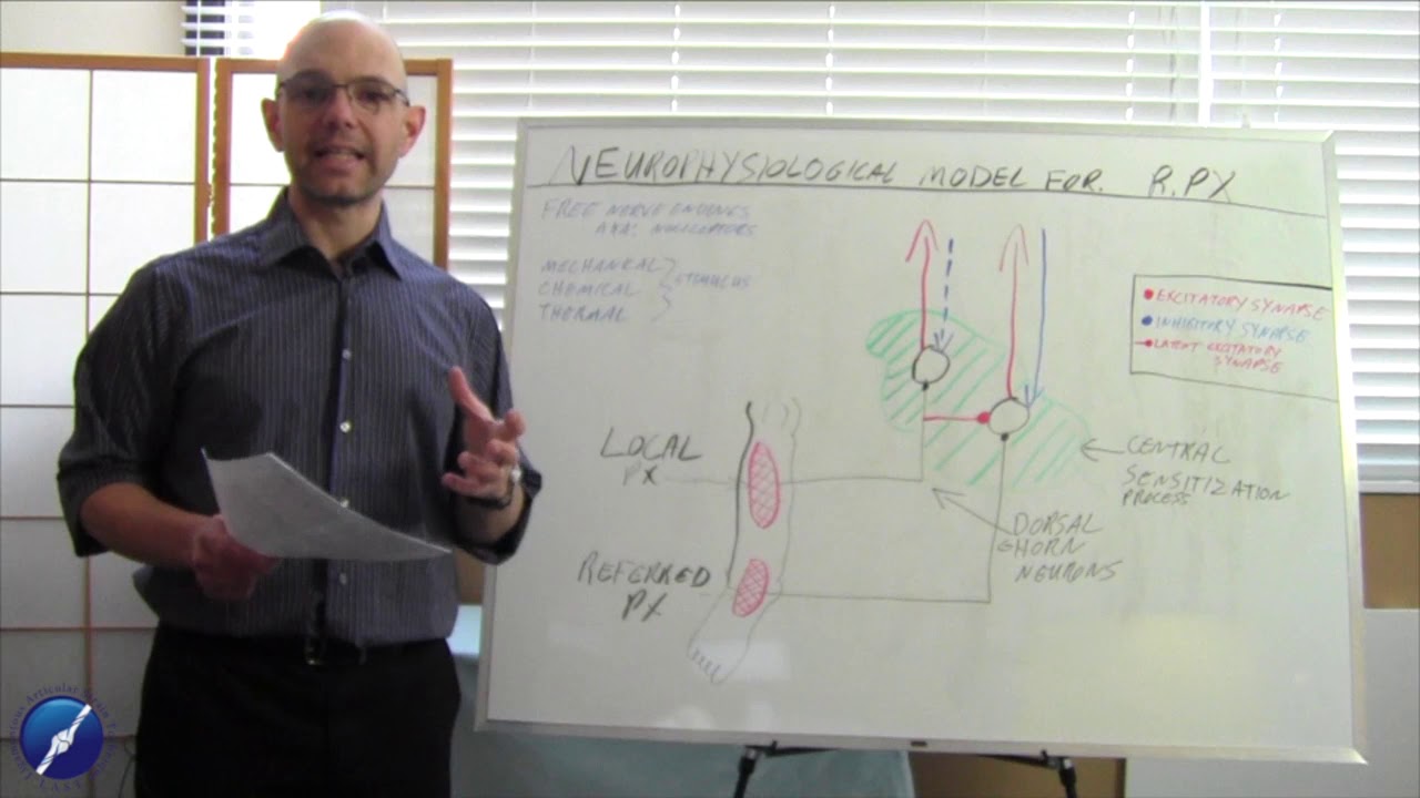 Neurophysiological Model for Referred Pain