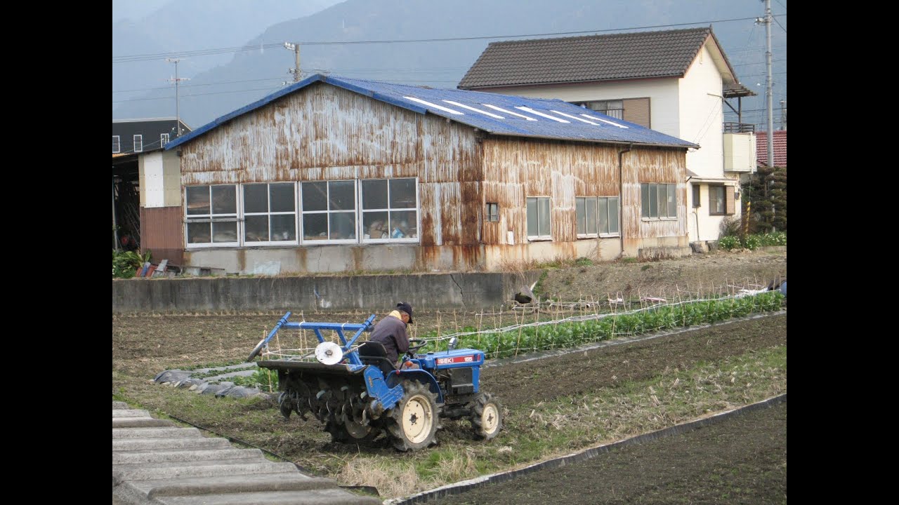 Rice Paddy & Tadpoles- Emmy-san