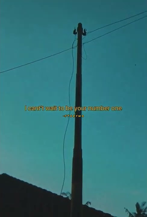 Story Wa-Best Friends(Rex Orange County)