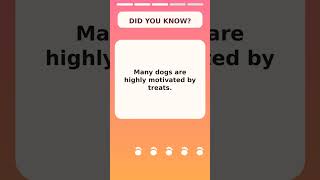 Dog Trivia Time
