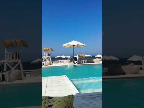 شاطئ زاهية 2025
