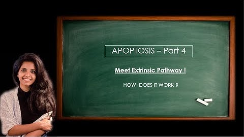 Apoptosis Part- 4 : Extrinsic Pathway and its Inhibitors.