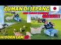 Taman Kambing Jepang yang Lagi Viral!🐐