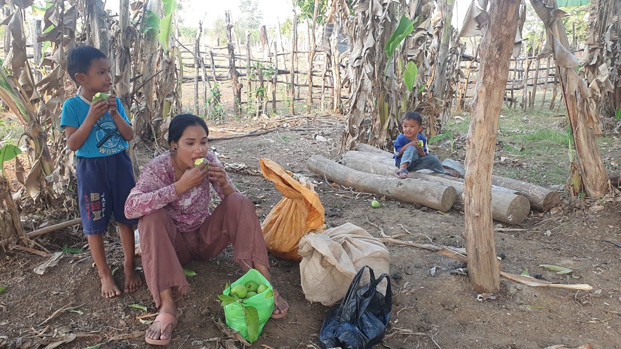 Poor Rural Mother Than Khun village vlog || Poor life of rural mom || Just only Mango ...