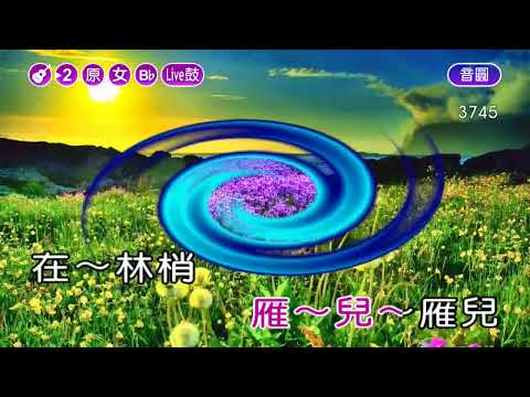 雁兒在林梢~鳳飛飛~女Bb調~伴奏~導唱丙